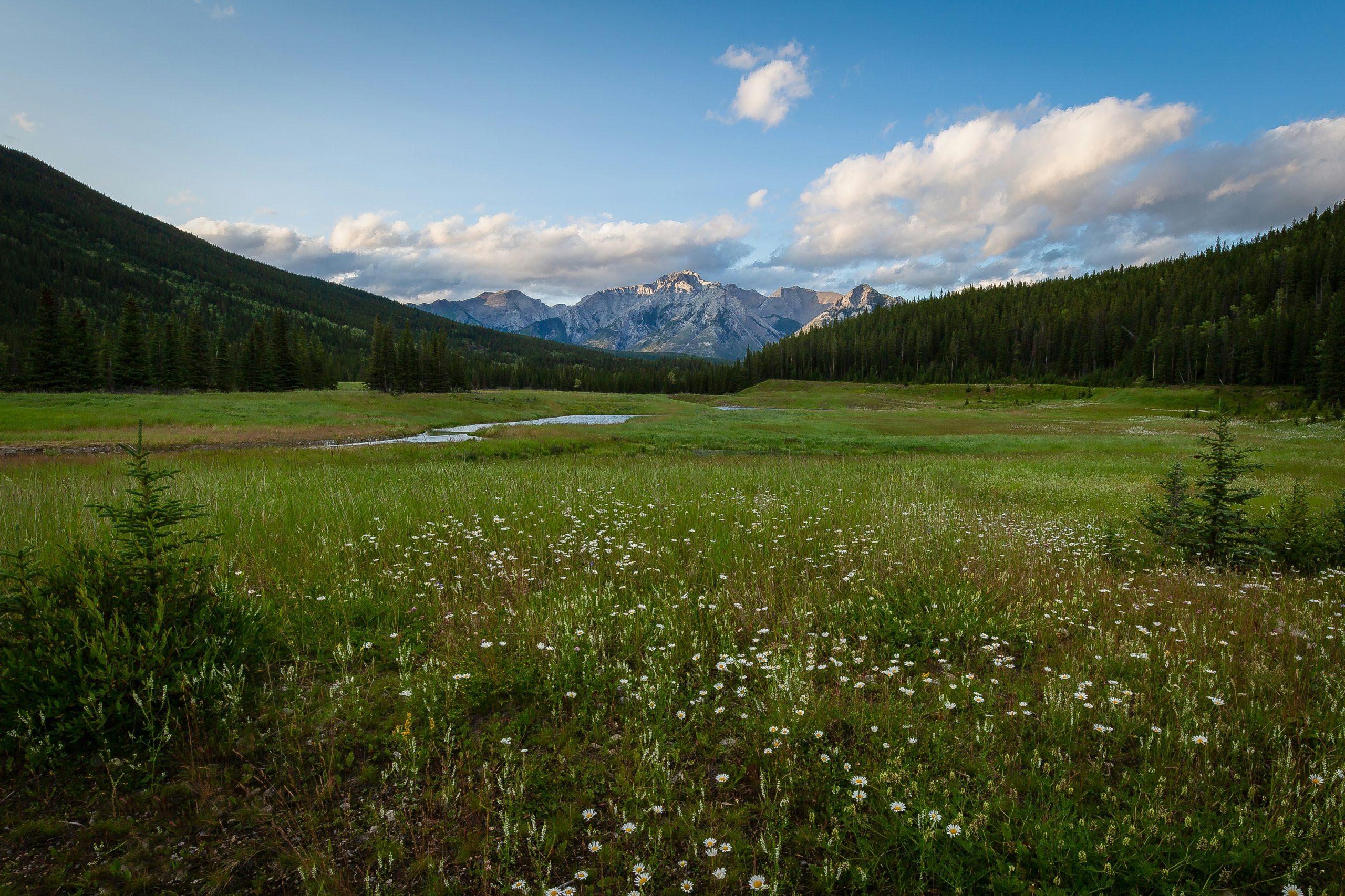 Exploring the Serenity of Banff National Park